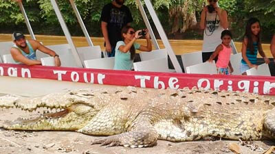 Jaco Crocodile Tour