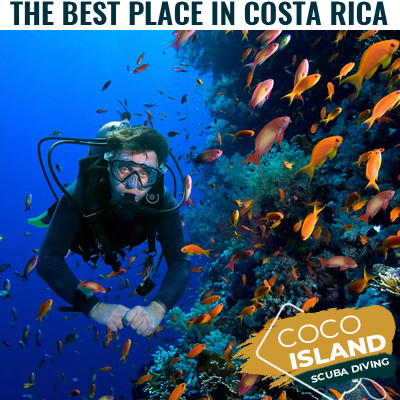 Coco Island Diving Costa Rica