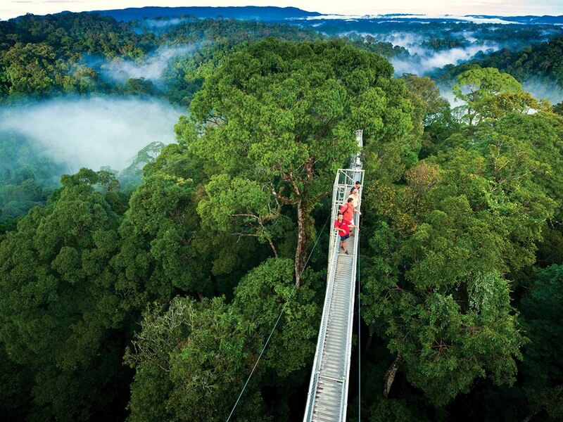 Hanging Bridges La Fortuna