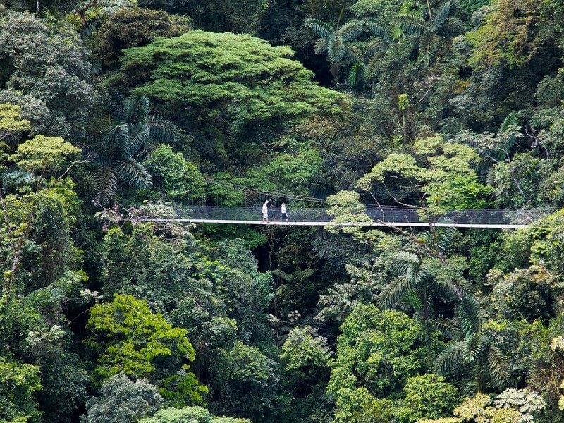 Hanging Bridges La Fortuna