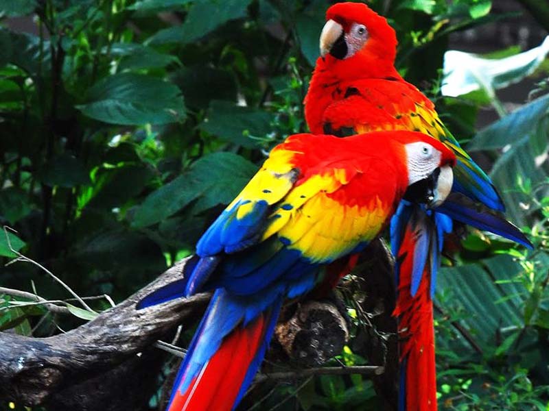 Manuel Antonio National Park