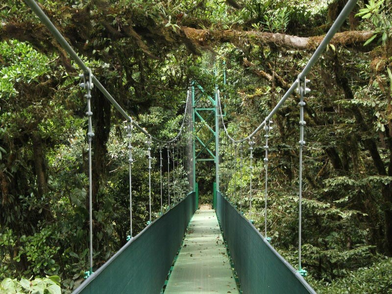 Monteverde Sky Walk