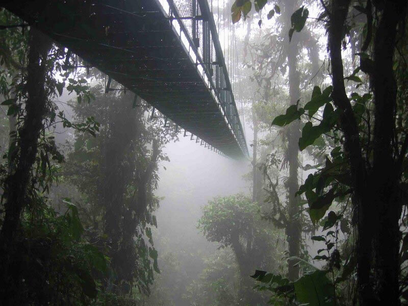 Monteverde Sky Walk