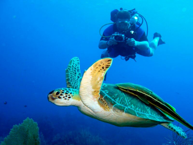 Scuba Diving Jaco