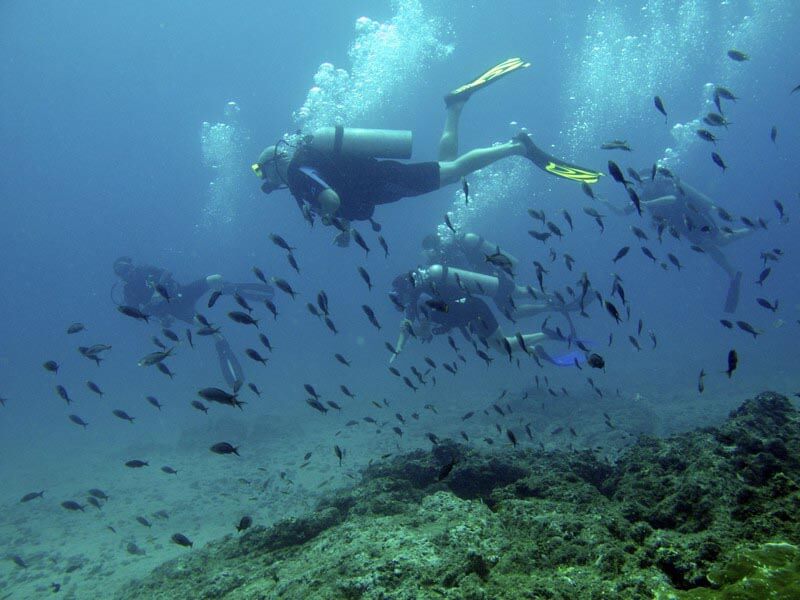 Scuba Diving Jaco