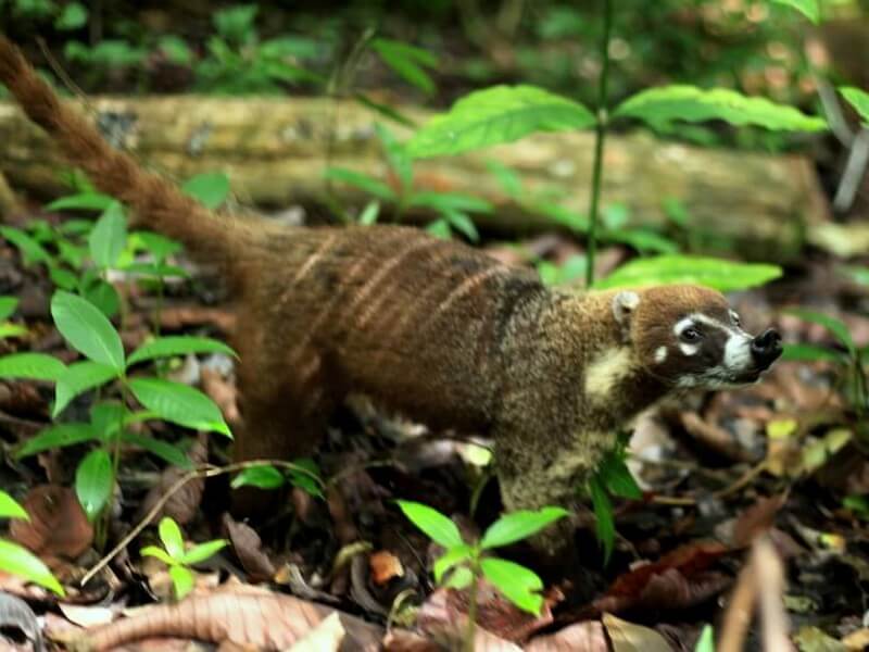 Cabo Blanco National Park