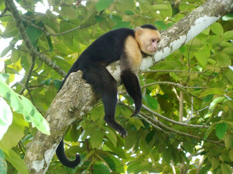 Cabo Blanco National Park