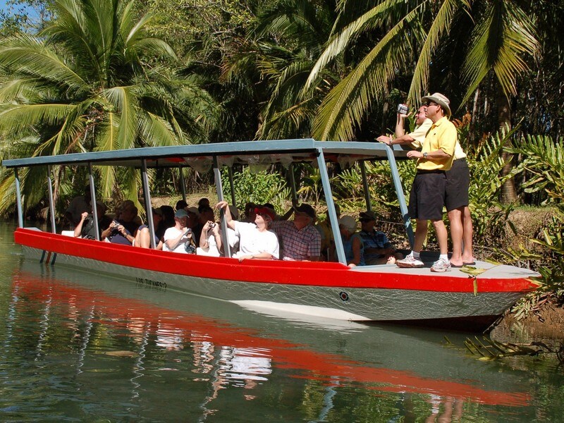 Monkey Tour Quepos