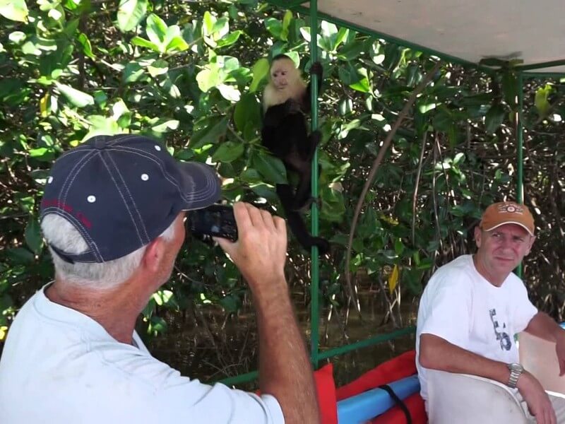 Monkey Tour Quepos