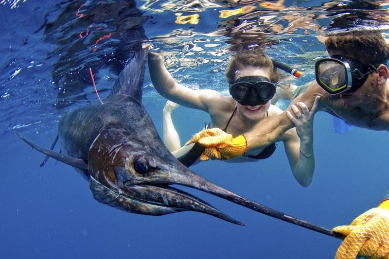 Sport Fishing Manuel Antonio