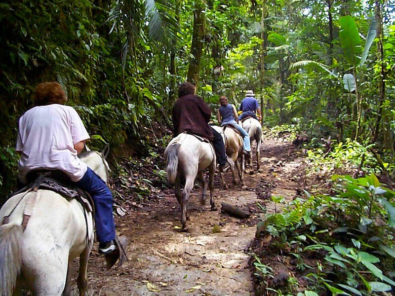 Tocori Waterfalls Tour