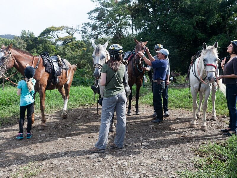 Horseback Riding Monteverde