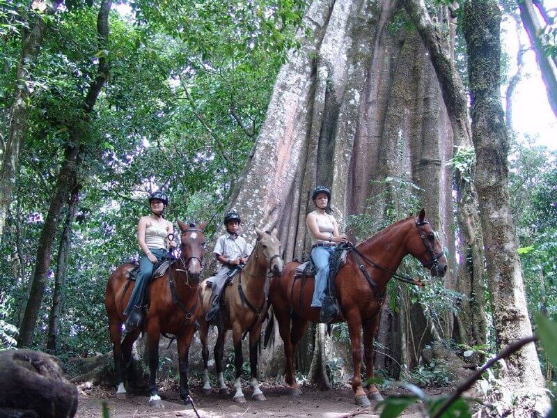 Horseback Riding Monteverde