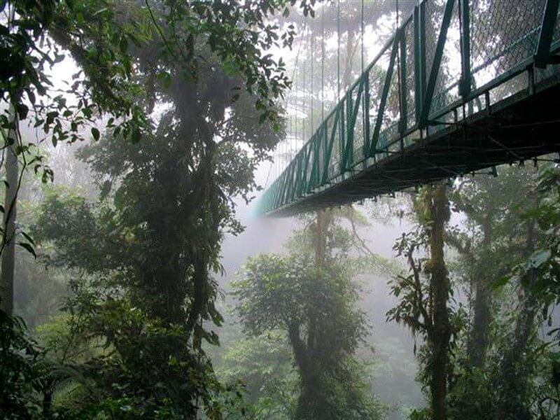 Monteverde Cloud Forest Tour