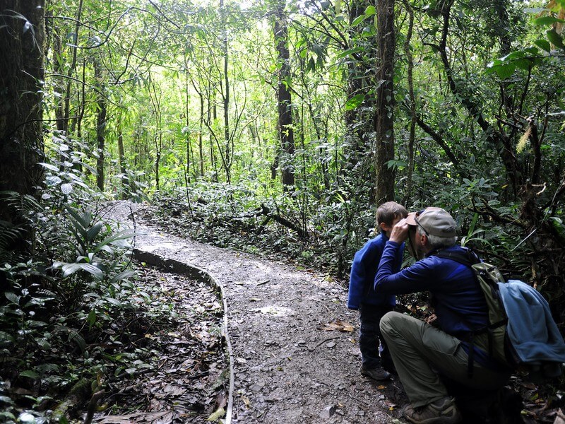 Monteverde Cloud Forest Tour