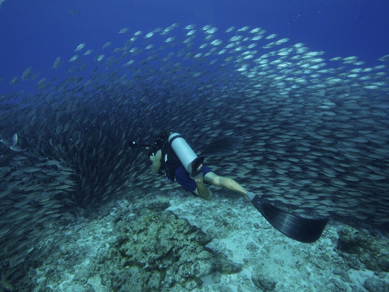 Scuba Diving Guanacaste