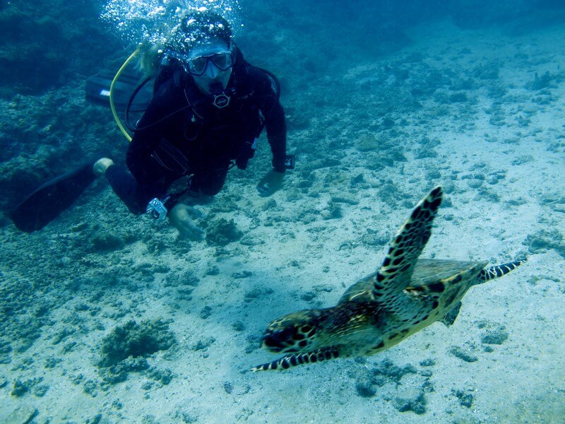 Scuba Diving Guanacaste