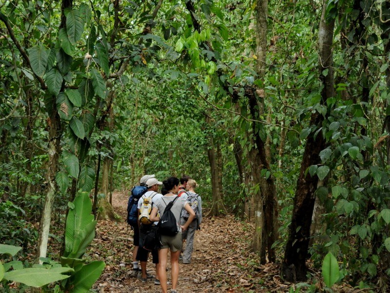 Corcovado National Park