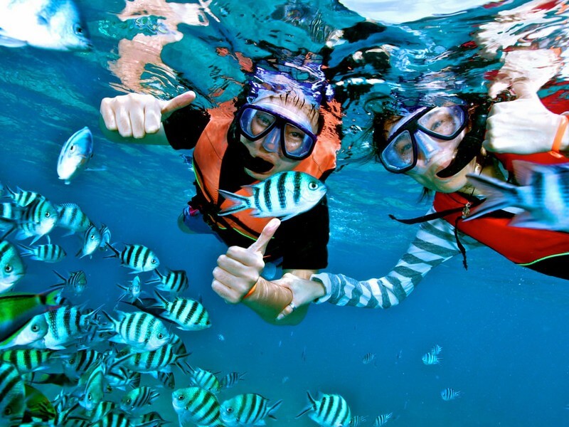 Snorkeling Dominical